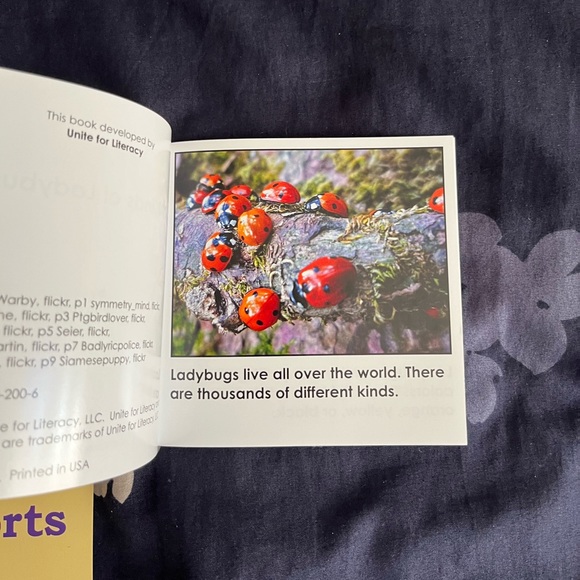 Mini Books Bundle - Picture 5 of 11